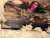 Crawl Space Repair in Hanover, New Hampshire | Matt Clark's Northern Basement Systems - Photo 1