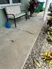 Concrete Walkway & Patio Repair Solution in St. Petersburg, FL - Photo 1