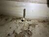 Crawlspace Cleaning and Repair in Dallas, TX - Photo 1