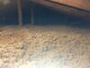 Tru-Soft Cellulose Installation in Mentor, OH - Photo 1