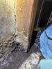 Old Termite Problem Resurfaces in Wall Township, NJ - Photo 2