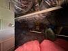 Crawl Space Encapsulation in Harvest, AL - Photo 8