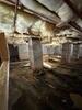 Mold Remediation in Huntsville, AL - Photo 6