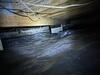 Crawl Space Encapsulation in Russellville, KY - Photo 8