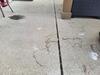 Sunken Concrete Patio Lifted & Leveled in Waupaca, WI - Photo 5