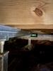 SmartJack Installation in New Market, AL - Photo 6