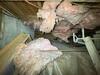 Winterizing a Cold Crawl Space in North Hartland, VT | Matt Clark's Northern Basement Systems - Photo 1