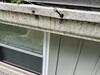 Avondale Estates, GA Gutter Replacement | Gutter Shutter of Greater Atlanta - Photo 4
