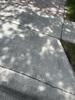 Concrete Walkway Repair Solution in Pembroke Pines, FL - Photo 1
