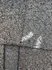 Hail Damaged Roof in Fargo, ND | IKO Dynasty Shingles - Photo 1