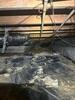 Crawl Space Repair in Owens Cross Roads, AL - Photo 8