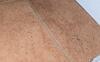Termite Swarmers Using the Bathroom in Oceanport, NJ - Photo 1