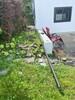 5- Inch Gutter Installation in Pittsfield, MA - Photo 1