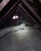 Fixing Duct Line and Insulating Bedroom in Phoenix, AZ - Photo 1