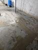 Damp Basement Issues Resolved with Install of Interior Drainage, Battery Back-up Sump Pump & Dehumidification System in Berlin, WI - Photo 1