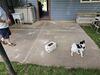 Patio Concrete Lifting & Sealing Eliminates Pooling Water and Trip Hazards in Berlin, WI - Photo 1