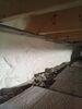 Crawl Space Insulation in Burlington, Maine - Photo 1
