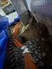Crawl Space Repair in Jackson, TN - Photo 6
