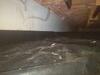 Crawlspace Radon Mitigation & Re-Encapsulation in Sweet, Idaho - Photo 4