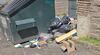 Trash Piled Up Causes Mice in Edison, NJ - Photo 2