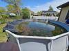 Swimming Pool Causes Large Mosquito Problem in Tinton Falls, NJ - Photo 1