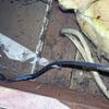 Attic Air Sealing Issues Found During a Free Home Evaluation in Howell, NJ - Photo 1