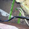 Attic Air Sealing Issues Found During a Free Home Evaluation in Howell, NJ - Photo 2