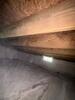 Mold Remediation in Kevil, KY - Photo 2