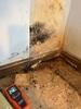 Basement Waterproofing in Bowling Green, KY - Photo 3