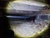 Damp Crawl Space Repair in Medford, WI - Photo 3