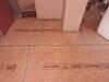 Subfloor Removal and Replacement in Willard, NC - Photo 5