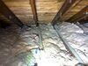 Attic air sealing and insulation upgrade in Pittsburgh, PA 15220 - Photo 4