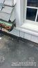 Scarsdale, NY Exterior Contractor Needed | Roof, Gutter, & Siding Repalcement - Photo 3