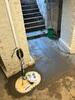 Muscatine Cellar Entry Waterproofing and Floor Beam Stabilization - Photo 1
