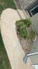 Cedar Rapids Concrete Leveling Vehicle Scraping Solved with PolyLevel and NexusPro - Photo 1