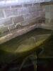 Crawl Space Moisture & Water Repair in Two Rivers, WI - Photo 2