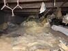 Crawlspace Moisture Issues in Rayville, LA - Photo 3