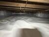 Crawlspace Moisture Issues in Rayville, LA - Photo 1