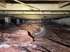 Crawlspace Encapsulation in Raceland, LA - Photo 6