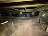 Crawlspace Encapsulation in Raceland, LA - Photo 3