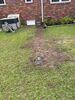 Crawl Space Repair and Floor Leveling in Wilmington, NC - Photo 5