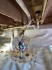 Crawl Space Encapsulation in Bowling Green, KY - Photo 4