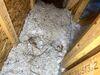 Sanitizing and Transforming a 2,100 sq ft Attic for Better Home Performance - Photo 1