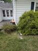 Guttter Installation in Williamstown, MA - Photo 1