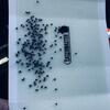 Warehouse Beetles Are Costly for Business Owner in Wall Township, NJ - Photo 2