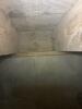 Mold Remediation Transformation - Photo 1
