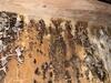 Crawl Space Encapsulation & Dehumidifier in Dallas, TX - Photo 4