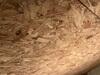 Mold Removal in Marshfield, MA - Photo 1