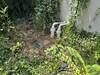 Water in Basement in Madison, MS - Photo 1
