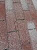 IKO Dynasty Shingles Charcoal Black | Perham, MN Roof Replacement - Photo 6